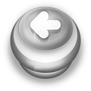 Button 21 icon